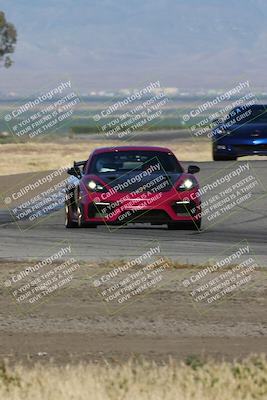 media/May-03-2024-PCA Central Coast (Fri) [[eaa7da0ee1]]/Yellow Group/Session 1 (Grapevine)/